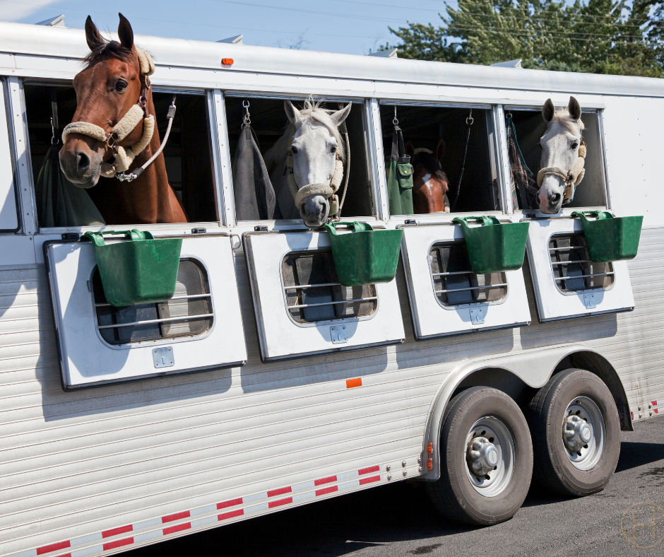 horse trailer